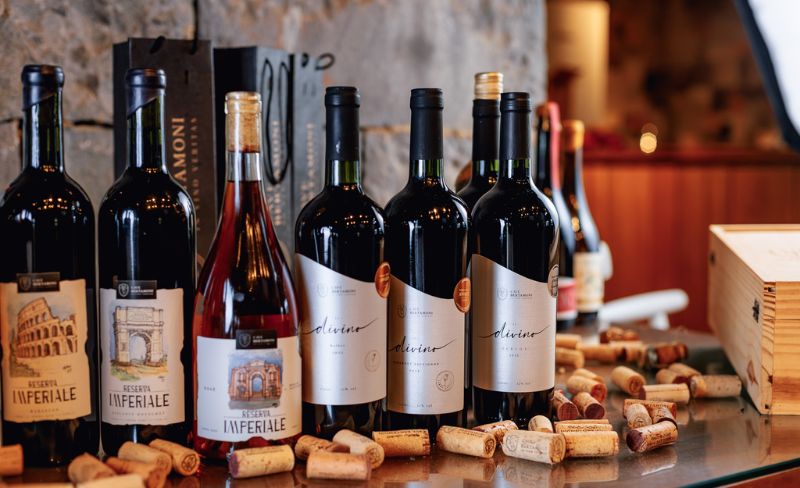 Cave Bertamoni & Di Bartolomeu: Vinhos & Massas no Vale dos Vinhedos!